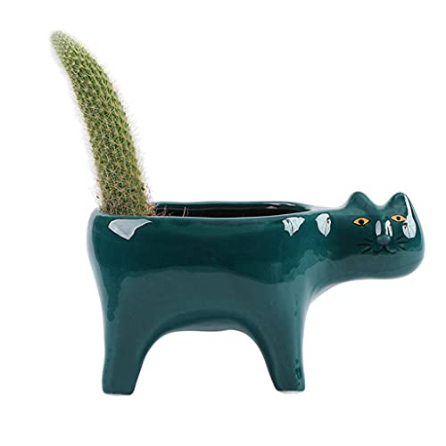 unknowns Cartoon Katze Blumentopf, Sukkulenter Pflanzer Mit Drainage, Keramik, Pflanzen Blumentopf, Garten Kaktus Pflanzen Im Topf, Vase, Wohnkultur-6.22x3.15in von unknowns