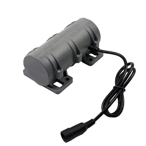 DC12V/24V Vibrationsmotor, 3800 U/min Doppelter Exzentrischer Vibrationsmotor Für Massageliege Stuhl Medizinische Instrumente,Langlebiger Vibrationsmotor (12V Motor) von uprgk