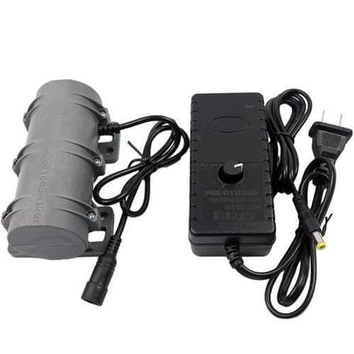 DC12V/24V Vibrationsmotor, 3800 U/min Doppelter Exzentrischer Vibrationsmotor Für Massageliege Stuhl Medizinische Instrumente,Langlebiger Vibrationsmotor (12V Motor+EU-Adapter) von uprgk