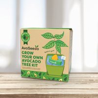 Avoseedo Avocadopflanze Selbst Anbauen? - Grow Kit Avocado von urbanjngl