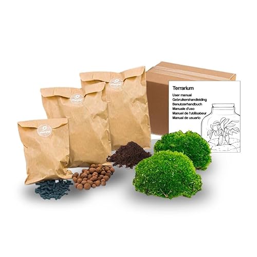 urbanjngl.com - Pflanzenterrarium – Nachfüllset – Starterset – DIY – Größe S/M - Pflanzen-Terrarium-Paket von urbanjngl