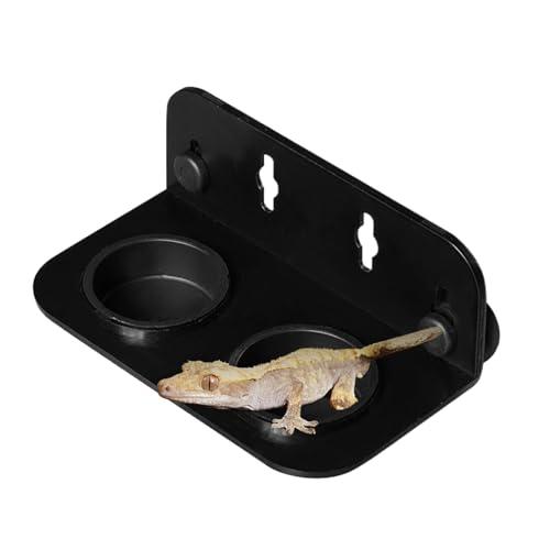 usefulbeauty Gecko Fütterungsschüssel,Gecko Futternapf Mit Doppelschale Und Saugnapf - Leichter Fressnapf Für Frösche Leopardgeckos Landeinsiedlerkrebsen Chamäleons von usefulbeauty