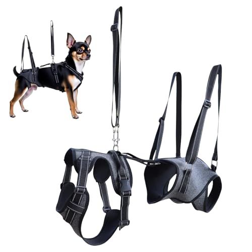usefulbeauty Hund Hebegeschirr,Verstellbare Mobilitätshilfe Für Gehbehinderte, Ältere & Rekonvaleszente Hunde | Verstellbare Tragehilfe & Stützkorsett für Rehabilitationstraining, Erholung und ältere usefulbeauty Hund Hebegeschirr,Verstellbare Mobilitätshilfe Für Gehbehinderte, Ältere & Rekonvaleszente Hunde | Verstellbare Tragehilfe & Stützkorsett für Rehabilitationstraining, Erholung und ältere von usefulbeauty