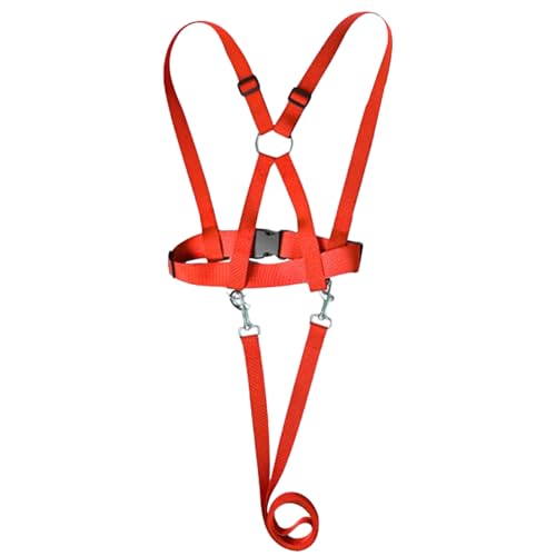 usefulbeauty Kleinkind Sicherheitsgeschirr - Verstellbares Kinderführungsgeschirr,Ergonomisches Anti-Verlauf-Geschirr Mit Führleine Für Outdoor, Spaziergänge, Camping & Abenteuer usefulbeauty Kleinkind Sicherheitsgeschirr - Verstellbares Kinderführungsgeschirr,Ergonomisches Anti-Verlauf-Geschirr Mit Führleine Für Outdoor, Spaziergänge, Camping & Abenteuer von usefulbeauty