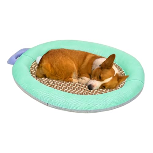 usefulbeauty Kühlmatte Für Hunde | Kühlkissen Für Transportbox Und - Kaufsicher Kühleffekt Welpen Und Katzen Im Haus von usefulbeauty