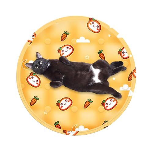 usefulbeauty Kühlmatte für Katzen im Innenbereich | Kühlmatte für Tiere – rundes Kissen, tragbar, für Kätzchen, Kleintiere, Innen, Reisen, Auto usefulbeauty Kühlmatte für Katzen im Innenbereich | Kühlmatte für Tiere – rundes Kissen, tragbar, für Kätzchen, Kleintiere, Innen, Reisen, Auto von usefulbeauty