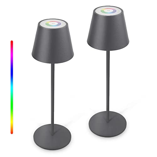 uuffoo 2x Dimmbare LED Akku-Tischlampe Kabellos Touch-Steuerung Metall Akkubetriebene Tischlampe 8 Farben IP54 Outdoor Tragbare Tischleuchte für Schlafzimmer, Arbeit, Bar, Restaurant, Camping von uuffoo