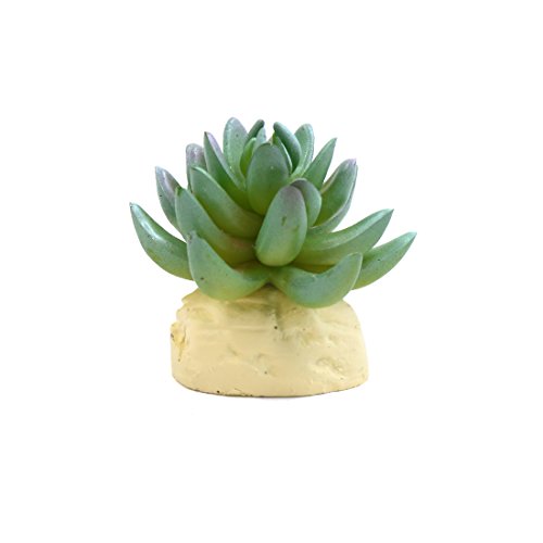 sourcing map Grün Plastikkaktus Pflanze Terrarium Reptil Behälter Lebensraum Dekor Reptilien de von uxcell