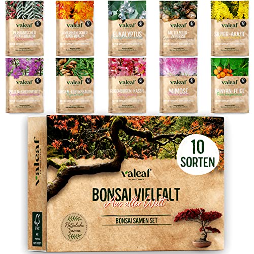 10 Bonsai Samen aus 5 Kontinenten I Exotische Baum Samen für deinen einzigartigen Bonsai Baum I Bonsai Starter Kit für Anfänger und Pflanzen Verrückte I Unser Bonsai Set als besondere Geschenkidee von valeaf