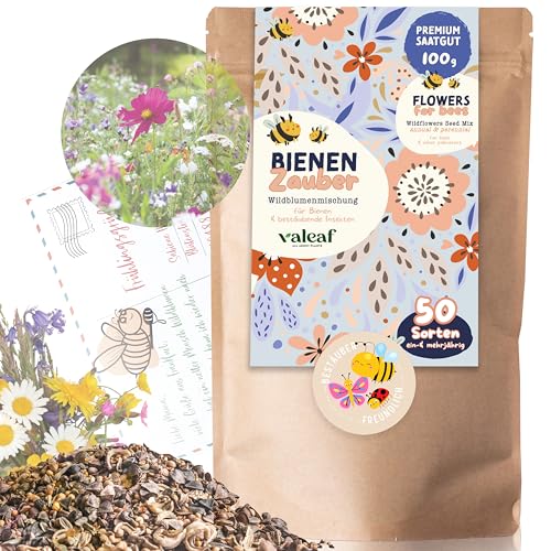 Blumensamen I 100g I 100m² Samen mehrjährig und einjährig I Samen für Bienen Blumenmischung I Wildblumensamen für Balkonblumen und Wildblumen I bunte Bienenweide von valeaf