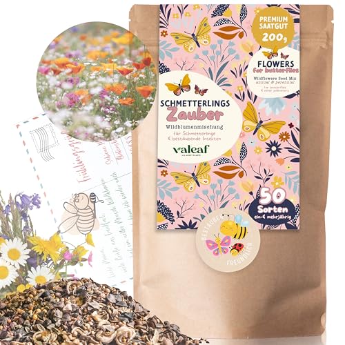 Schmetterlingswiese I 200 g I Blumenmischung für 200 m² I Blumenwiese Samen mehrährig und einjährig I Wildblumensamen für Schmetterlinge und Bienen I Wiesenblumen Samen Schmetterlingswiese I 200 g I Blumenmischung für 200 m² I Blumenwiese Samen mehrährig und einjährig I Wildblumensamen für Schmetterlinge und Bienen I Wiesenblumen Samen von valeaf