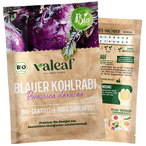 valeaf BIO Bunte Gemüse Samen I Ausgefallene Gemüsesamen zur Gemüse Anzucht im Garten, Balkon und Hochbeet I samenfestes Gemüse Saatgut I Pflanzen Samen zum Gemüse Pflanzen (Blauer Kohlrabi (BIO)) valeaf BIO Bunte Gemüse Samen I Ausgefallene Gemüsesamen zur Gemüse Anzucht im Garten, Balkon und Hochbeet I samenfestes Gemüse Saatgut I Pflanzen Samen zum Gemüse Pflanzen (Blauer Kohlrabi (BIO)) von valeaf