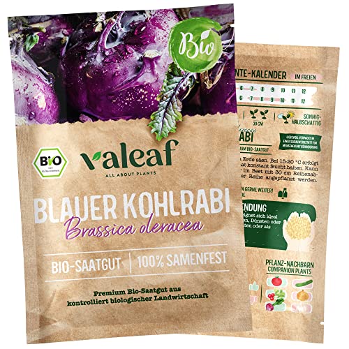 valeaf BIO Bunte Gemüse Samen I Ausgefallene Gemüsesamen zur Gemüse Anzucht im Garten, Balkon und Hochbeet I samenfestes Gemüse Saatgut I Pflanzen Samen zum Gemüse Pflanzen (Blauer Kohlrabi (BIO)) von valeaf