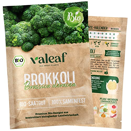 valeaf BIO Gemüse Samen I Premium Gemüsesamen zur Gemüse Anzucht im Garten, Balkon und Hochbeet I samenfestes Gemüse Saatgut I Pflanzen Samen zum Gemüse Pflanzen (Brokkoli (BIO)) von valeaf