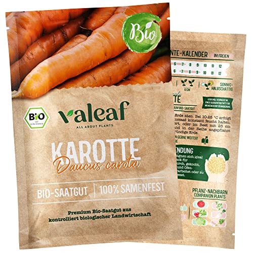 valeaf BIO Gemüse Samen I Premium Gemüsesamen zur Gemüse Anzucht im Garten, Balkon und Hochbeet I samenfestes Gemüse Saatgut I Pflanzen Samen zum Gemüse Pflanzen (Karotte (BIO)) von valeaf