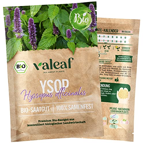 valeaf BIO Kräuter Samen I Premium Kräutersamen zur Kräuter Anzucht I Küchenkräuter für Garten, Balkon I samenfestes Kräuter Saatgut I Pflanzen Samen zum Kräuter Pflanzen (Ysop (BIO)) von valeaf