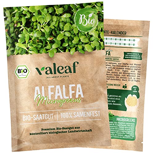 valeaf BIO Microgreens Samen I Premium Microgreenssamen I Keimsprossen Saatgut für Brokkolisprossen, Kresse uvm. I Kressesamen als Keimsaat I Microgreens Saatgut für Microgreen (Alfalfa (BIO)) von valeaf