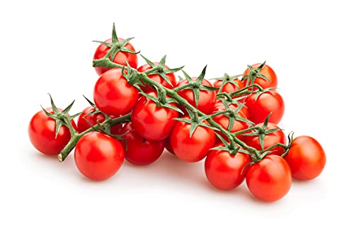 valeaf BIO Tomaten Anzuchtset I Tomaten züchten Tomaten Saatgut I Tomatensamen alte Sorten I Tomate Starter Kit I Tomaten Anzucht Set Gemüse Samen I Tomaten Samen Set von valeaf