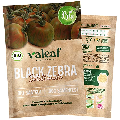 valeaf BIO Tomaten Samen "Black Zebra" Salattomate I Premium Tomatensamen zur Tomaten Anzucht im Garten, Balkon und Hochbeet I samenfestes Tomaten Saatgut I Pflanzen Samen zum Tomaten Pflanzen von valeaf