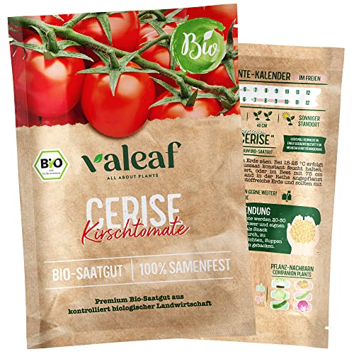 valeaf BIO Tomaten Samen I Premium Tomatensamen zur Tomaten Anzucht im Garten, Balkon und Hochbeet I samenfestes Tomaten Saatgut I Pflanzen Samen zum Tomaten Pflanzen (Cerise - Kirschtomate (BIO)) von valeaf