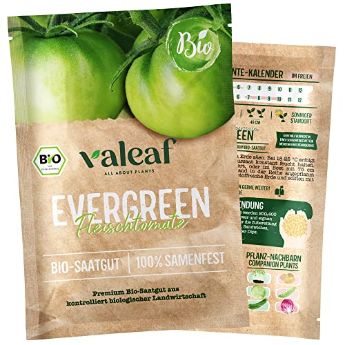 valeaf BIO Tomaten Samen "Evergreen" Fleischtomate I Premium Tomatensamen zur Tomaten Anzucht im Garten, Balkon und Hochbeet I samenfestes Tomaten Saatgut I Pflanzen Samen zum Tomaten Pflanzen von valeaf