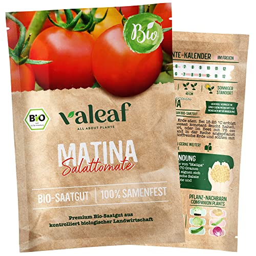 valeaf BIO Tomaten Samen I Premium Tomatensamen zur Tomaten Anzucht im Garten, Balkon und Hochbeet I samenfestes Tomaten Saatgut I Pflanzen Samen zum Tomaten Pflanzen (Matina - Salattomate (BIO)) von valeaf