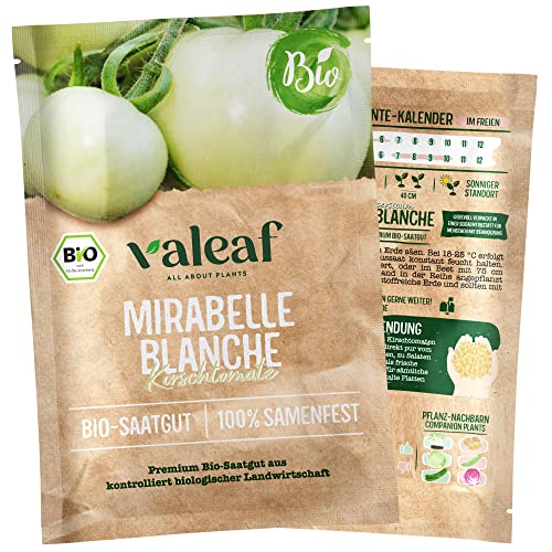 valeaf BIO Tomaten Samen I Premium Tomatensamen zur Tomaten Anzucht im Garten, Balkon und Hochbeet I samenfestes Tomaten Saatgut I Pflanzen Samen zum Tomaten Pflanzen (Mirabelle Blanche) von valeaf