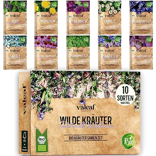 valeaf BIO Wildkräuter Samen Set I 10 Sorten Kräuter Saatgut aus biologischem Anbau I Bio Kräutersamen Set I Heilkräuter Samen, Teekräuter, Biokräuter, Gewürz I für Balkon, Garten u. Hochbeet von valeaf