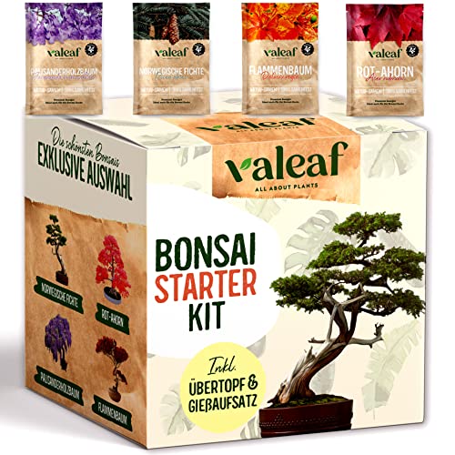 valeaf Bonsai Starter Kit I Bonsai Anzuchtset Geschenk für deinen Bonsai Baum I Zimmerpflanzen Anzuchtset inkl. 4 Sorten Bonsai Samen, Zubehör u. Bonsai-Schale I Saat Geschenk zum Baum pflanzen von valeaf