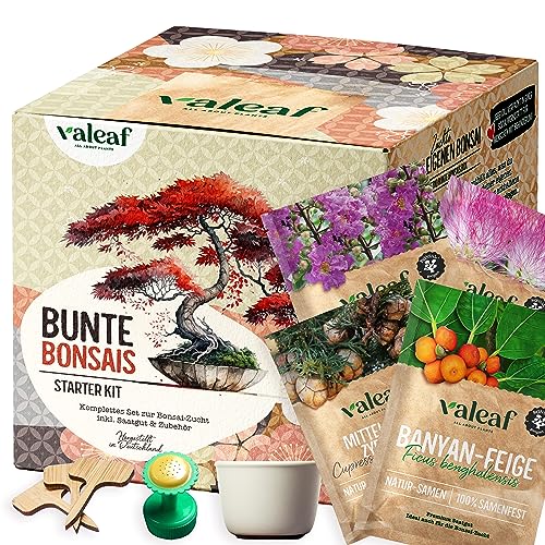 valeaf Bunte Bonsai Starter Set für deinen Bonsai Baum I Anzucht Set m. 4 Bonsai Samen u. Bonsai Schale im Bonsai Starter Kit I Bonsaisamen Exotische Samen I Bonsai Tree Bonsaizucht I valeaf Samen von valeaf
