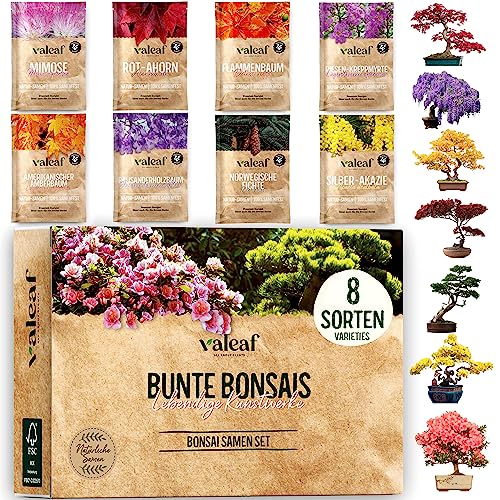 valeaf Bunte Bonsai Samen Set I 8 Sorten Bonsaisamen im Bonsai Starter Kit I Bonsai Set mit Bonsai Samen I Bonsai Tree Pflanzen Samen im Bonsai Kit I Exotische Samen zur Bonsaizucht mit valeaf Samen von valeaf