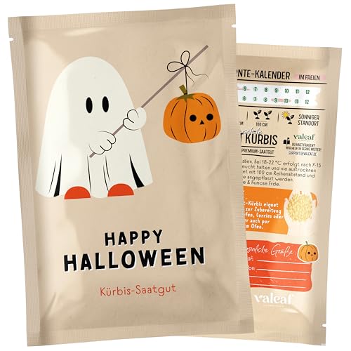 valeaf Halloween Kürbis Samen I Kürbissamen als Halloween Deko, Kürbis Deko I ideals Halloween Mitbringsel I Kürbis Halloween Butternut Kürbis Samentütchen I Saatgut Kürbis als Samen Geschenk von valeaf