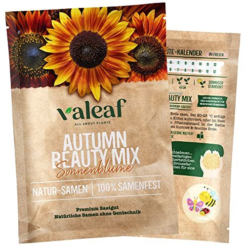 valeaf Sonnenblumen Samen "Autumn Beauty Mix" I Sonnenblumensamen zur Sonnenblumen Anzucht im Garten, Balkon, Hochbeet I samenfestes Sonnenblumen Saatgut I Pflanzen Samen zum Sonnenblumen Pflanzen von valeaf