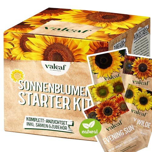 valeaf Sonnenblumen Samen Starter Set - 5 Sorten Sonnenblumensamen I Sonnenblume Blumensamen im praktischen Pflanzen Set - Sommerblumen Samen Wildblumenmischung - Blumen Samen zum Pflanzen von valeaf