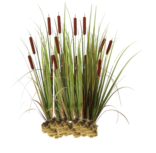 vdvelde.com - Grote Lisdodde - 15 stuks - Losse Pluggen - Typha Latifolia Rietsigaar - • 15 waterplanten voor 1 m² • Volgroeide hoogte: 120 cm • Plaatsing: -1 tot -20 cm von vdvelde.com