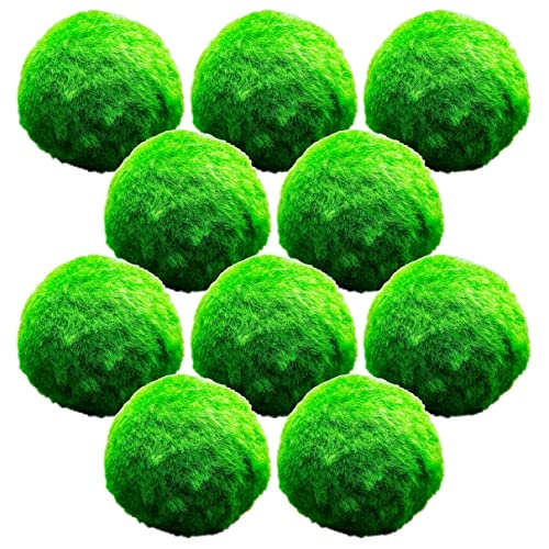 vdvelde.com - Marimo Mooskugeln - 10 Stück - Chladoflora Aegagropila - - Sauerstoffpflanze- Durchmesser ca. 5 cm- Platzierung: lose im Wasser von vdvelde.com