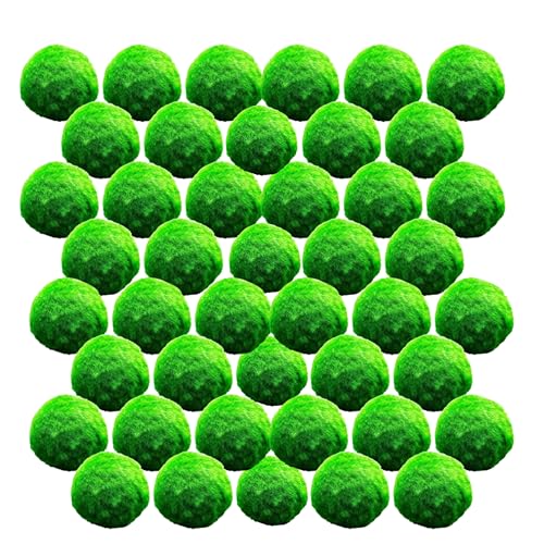 vdvelde.com - Marimo Mooskugeln - 50 Stück - Cladophora Aegagropila - Sauerstoffpflanze - Durchmesser ca. 5 cm - Platzierung: lose im Wasser von vdvelde.com