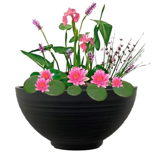 vdvelde.com - Mini Teich Schale mit Pflanzen Set - Rosa - Komplettes Set - 15 Pflanzen - Kunststoffschale Ø 40 x H 20 cm von vdvelde.com