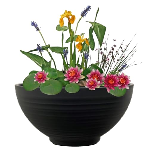 vdvelde.com - Mini Teichschale mit Pflanzen Set - Rot - - Komplettset- 15 Pflanzen- Kunststoffschale Ø 40 x H 20 cm von vdvelde.com
