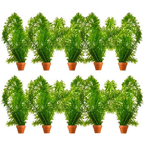 vdvelde.com - Waterpest - 10 stuks - Elodea Densa - • Zuurstofplant• Volgroeide hoogte: 60 cm• Plaatsing: los in het water von vdvelde.com