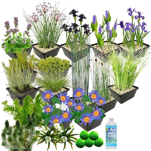 vdvelde.com - Wasserpflanzen Paket - Blau - Für 2.000-3.000 L - 93 Pflanzen - Platzierung: -1 bis -100 cm von vdvelde.com