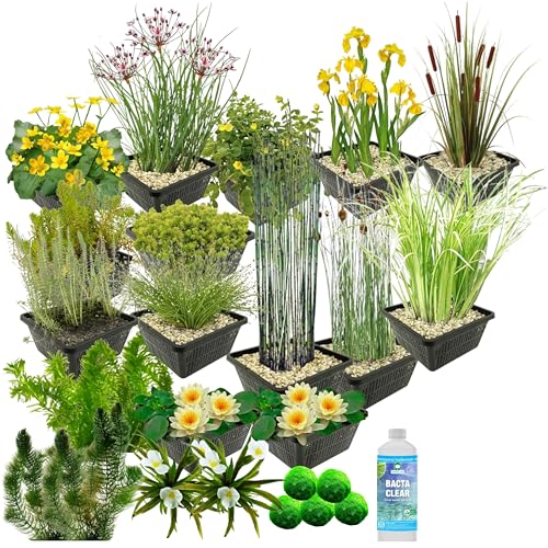 vdvelde.com - Wasserpflanzen Paket - Gelb - Für 2.000-3.000 L - 93 Pflanzen - Platzierung: -1 bis -100 cm von vdvelde.com