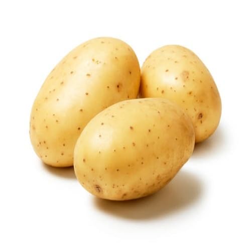 100 Stück braune Kartoffelgemüsesamen von venchunio