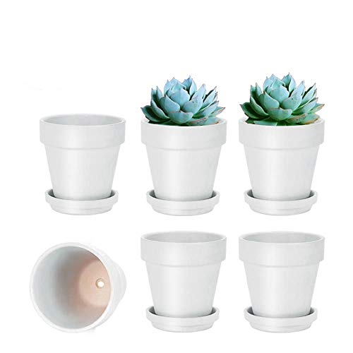 vensovo 10,2cm Weißer Tontopf für Pflanzen mit Untertasse - 6er Pack Kleiner Terrakotta-Pflanzentopf mit Drainageloch, Blumentopf mit Tablett, Terrakotta-Topf für Indoor Outdoor-Pflanzen von vensovo