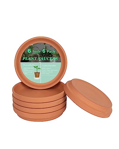 vensovo 15CM Mitte Terrakotta Topf Pflanze Untertasse - 6pcs Mitte Runde Pflanze Topf Untertassen, Mitte Ton Pflanze Tablett perfekt für 12,7CM14CM 15CM Blumentopf mit Drainageloch vensovo 15CM Mitte Terrakotta Topf Pflanze Untertasse - 6pcs Mitte Runde Pflanze Topf Untertassen, Mitte Ton Pflanze Tablett perfekt für 12,7CM14CM 15CM Blumentopf mit Drainageloch von vensovo