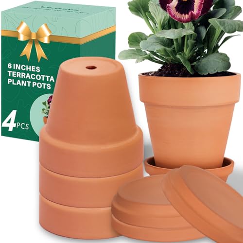 vensovo 15,2 cm Tontopf für Pflanze mit Untersetzer – 4 Stück großer Terrakotta-Blumentopf mit Drainageloch, Blumentopf mit Tablett, Terrakotta-Topf für Innen- und Außenbereich von vensovo