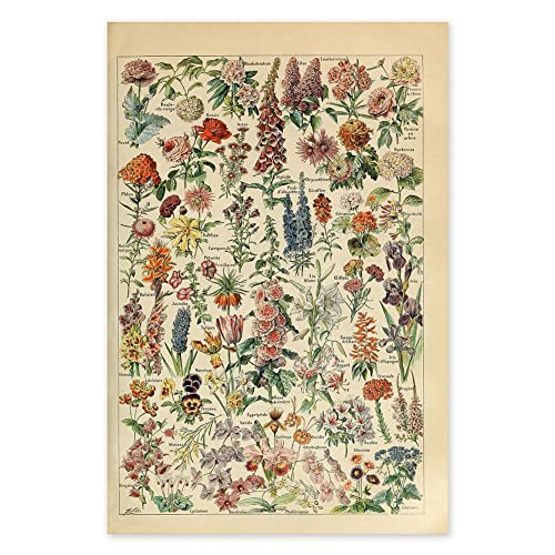 Vepoty Pflanzenplakat Vintage Botanical Art Wand Print Floral Nature Poster Ästhetik Collage Poster Für Die Heimdekoration von Vepoty