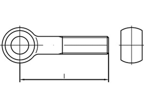25 Augenschrauben DIN 444 4.6 BM 6 x 45 verzinkt Stahl von verschiedene