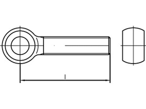 DIN 444 Form LB Augenschraube VG M20x100 Stahl 4.6 galvanisch verzinkt 10 Stk von verschiedene