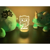 Personalisiertes Eulen Nachtlicht, Eule Mädchen Acryl Led Kinder Schlafzimmer Dekor, Dekor Geschenke Für Mädchenzimmer von verywoodbasement